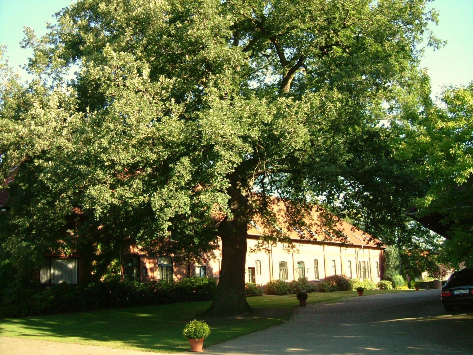 Gaestehaus Schlossgarten Etelsen Bagian luar foto